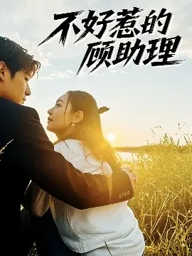 顾助理的爱情攻防战：一场都市情感的火花