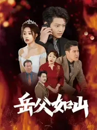 《岳父的礼物》：一场笑泪交织的家庭治愈之旅