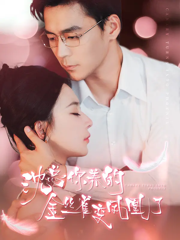 《沈总你养的金丝雀变凤凰了》：灰姑娘的华丽逆袭