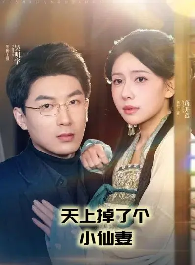 天降小仙妻的奇幻浪漫之旅：这部电影如何用幽默和爱情点亮你的日常生活