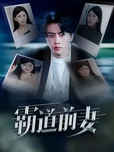 《霸道前妻》：离婚后她飒翻天！复仇爽剧，看前妻如何逆袭前夫！