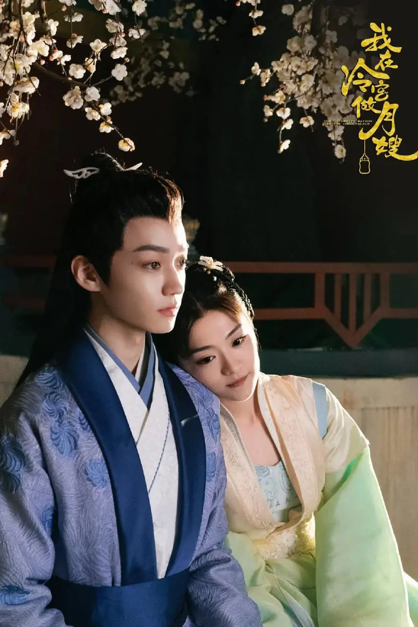 《我在冷宫做月嫂》：穿越时空的温情守护，看小人物如何搅动后宫风云！